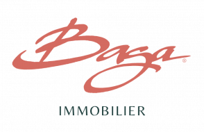 Agence immobilière baga_immobilier